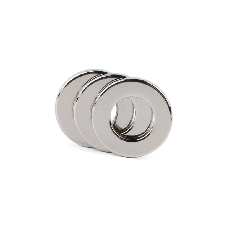 Ringmagnet