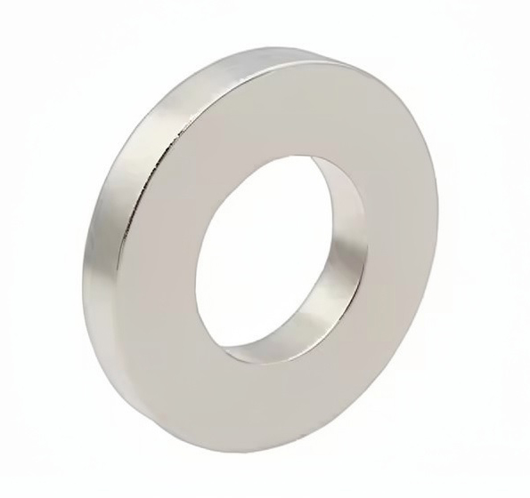 Ringmagnet